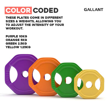 Gallant Studio Body Set Color Coded.